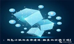 : 钱包小狐的悲惨遭遇：她