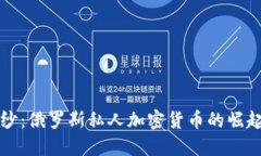 揭开面纱：俄罗斯私人加